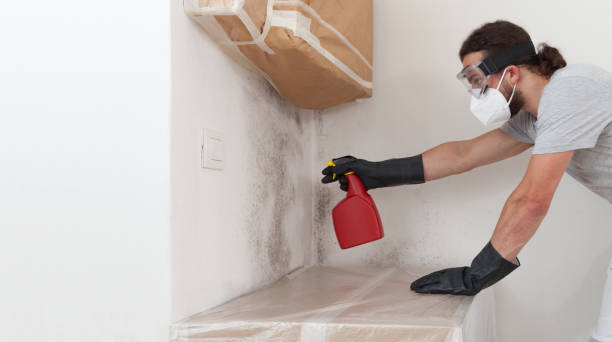 Professional Mold Removal technician working in Elizabeth, CO